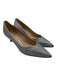 Stuart Weitzman Shoe Size 5.5 Silver Coated Pointed Toe Kitten Heel Pumps Silver / 5.5
