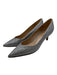 Stuart Weitzman Shoe Size 5.5 Silver Coated Pointed Toe Kitten Heel Pumps Silver / 5.5