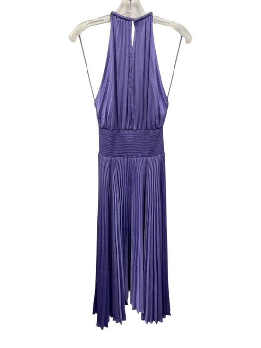 A.L.C. Size 6 Purple Polyester Keyhole Back Accordion Pleat Sleeveless Dress Purple / 6