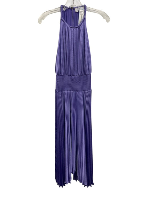A.L.C. Size 6 Purple Polyester Keyhole Back Accordion Pleat Sleeveless Dress Purple / 6