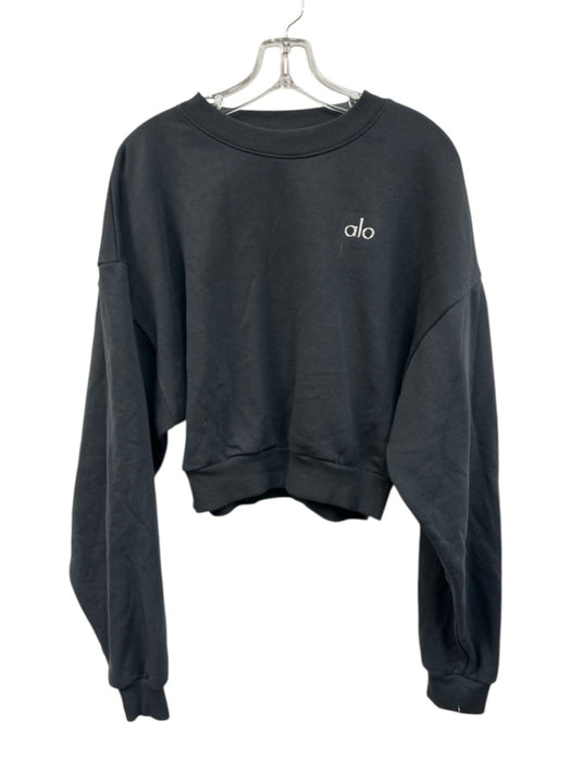 Alo Size M Gray & Silver Long Sleeve Logo Crop Sweatshirt Sweater Gray & Silver / M