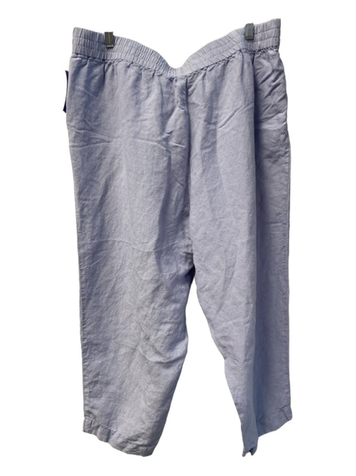 Madewell Size 1X Light Blue Cotton Elastic Waist Side Pocket Zip Fly Pants Light Blue / 1X