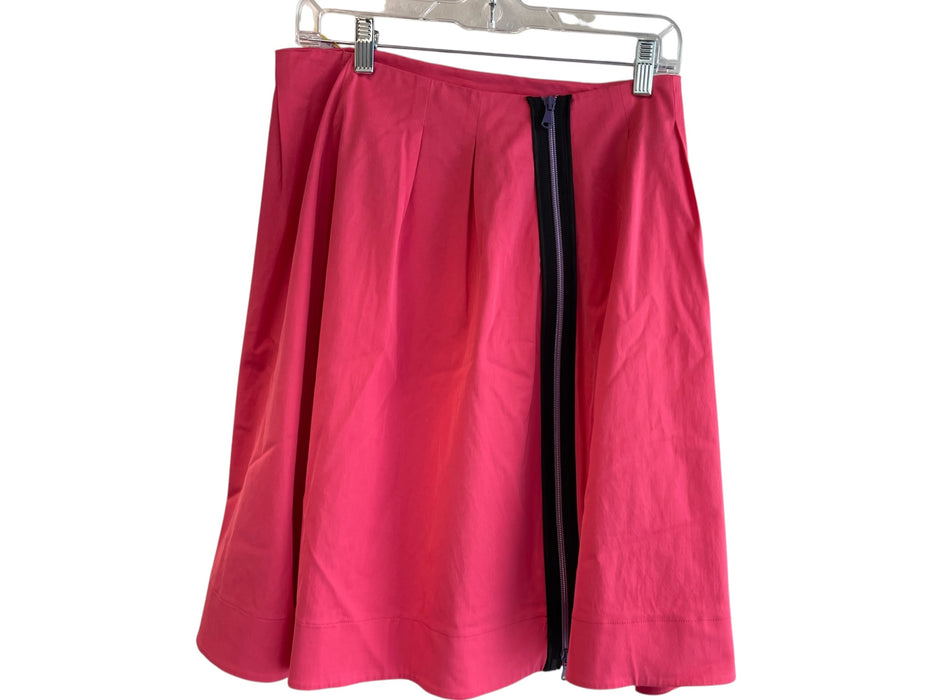 Alexander McQueen Size 46 Pink Viscose & Cotton Back Zip inverted pleat Skirt Pink / 46