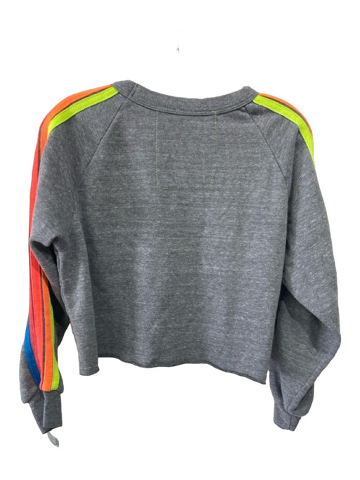 Aviator Nation Size M Gray & multi Cotton Blend Crew Neck Lightning Bolt Sweater Gray & multi / M