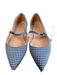 J Crew Shoe Size 6.5 Blue & White Fabric Pointed Single Strap Checked Flat Shoes Blue & White / 6.5
