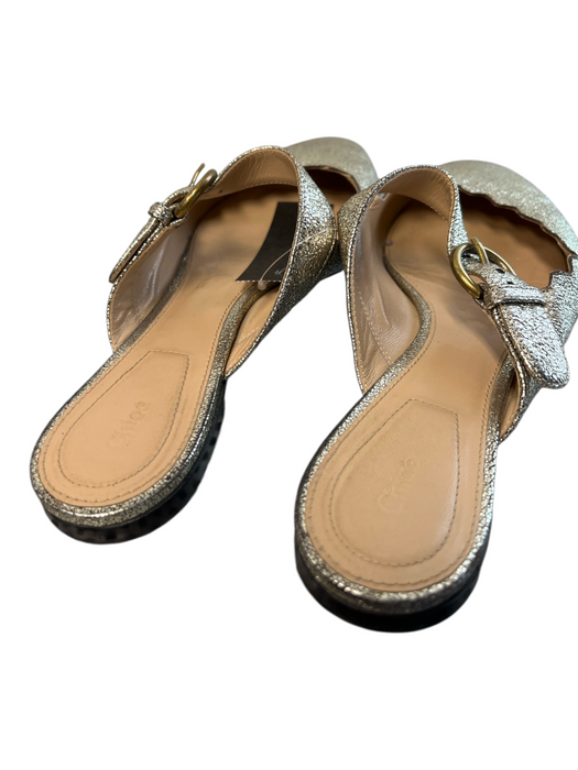 Chloe Shoe Size 37 Gold Leather Metallic Open Back Almond Toe Flat Shoes Gold / 37