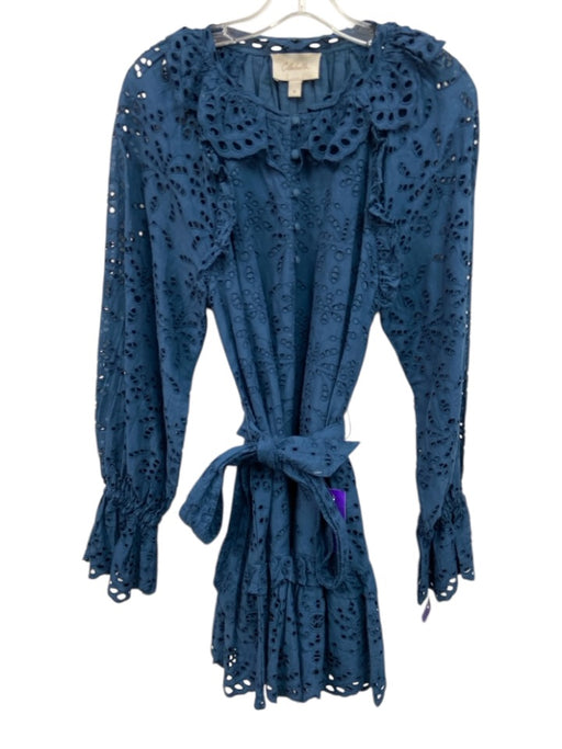 Cleobella Size M Blue Cotton Ruffle Neck Front Buttons Eyelet Detail Dress Blue / M