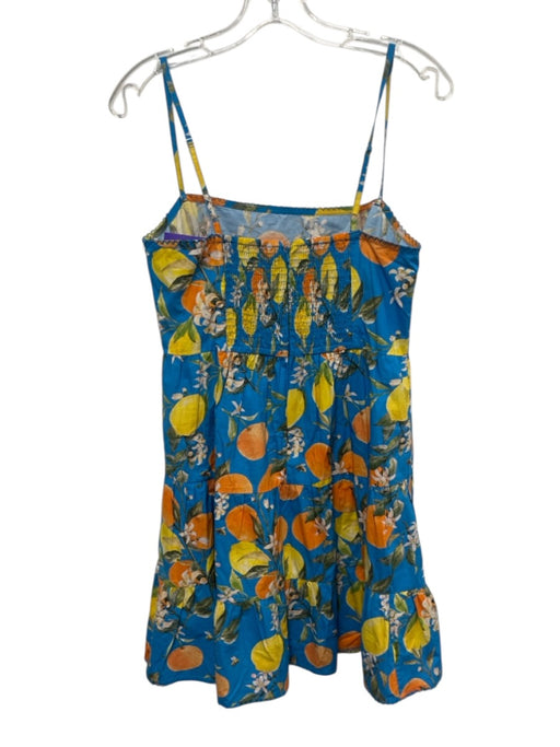 Olivia James Size M Blue & Multi Cotton Fruit Sleeveless Knee Length Dress Blue & Multi / M