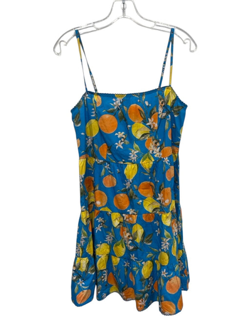 Olivia James Size M Blue & Multi Cotton Fruit Sleeveless Knee Length Dress Blue & Multi / M