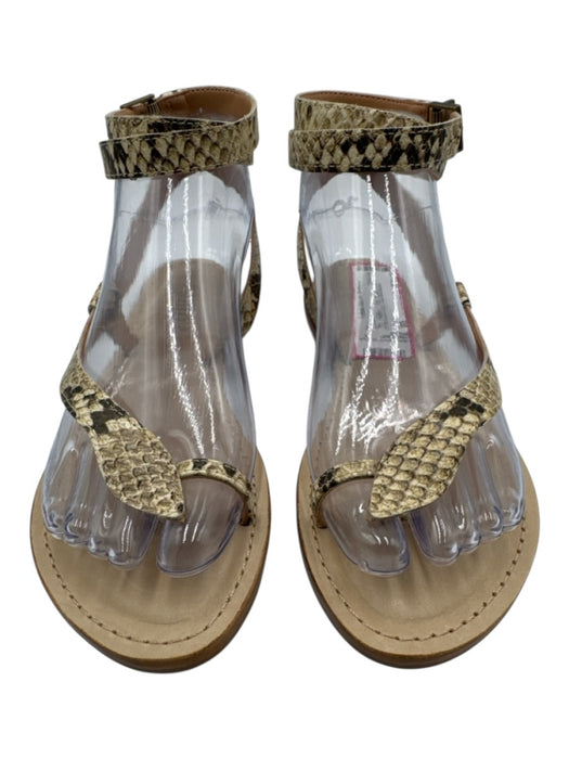 Schutz Shoe Size 6B Tan Leather T Toe Ankle Buckle Snakeskin Open Toe Sandals Tan / 6B
