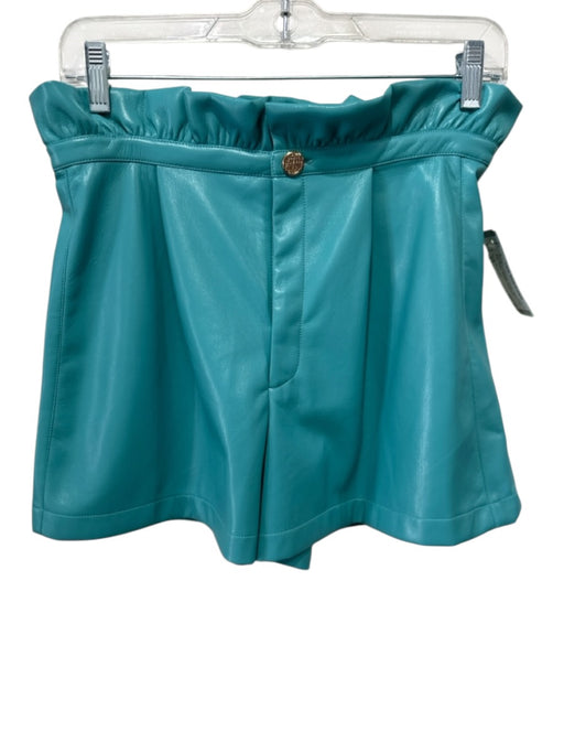 Emily McCarthy Size XS Teal Blue Polyester Elastic Waist High Rise Ruffle Shorts Teal Blue / XS