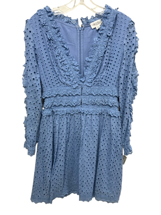 Allison Size S Light Blue Cotton Long Sleeve Crochet Lace V Neck Dress Light Blue / S