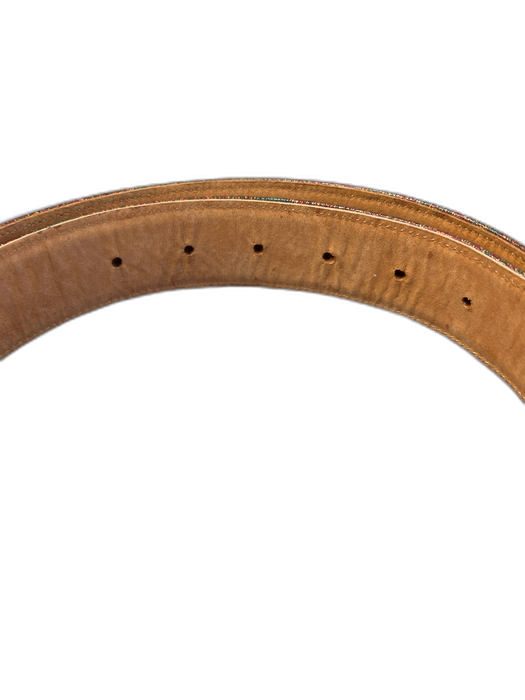 Etro Brown Leather Turquoise Embossed "E" Paisley Print Gold studs Belts Brown / 80 cm