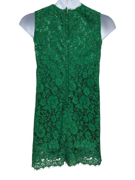 Dolce & Gabbana Size 40 Green Cotton & Viscose Floral Lace Jewel Mini Dress Green / 40
