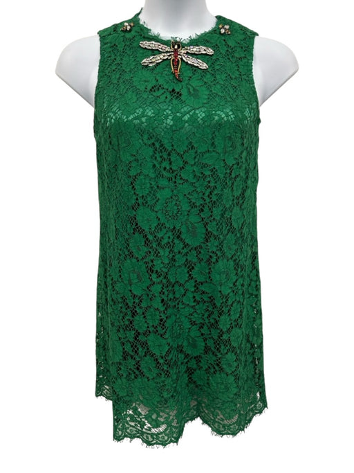 Dolce & Gabbana Size 40 Green Cotton & Viscose Floral Lace Jewel Mini Dress Green / 40