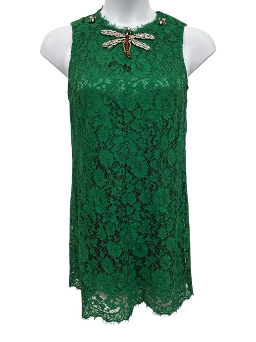 Dolce & Gabbana Size 40 Green Cotton & Viscose Floral Lace Jewel Mini Dress Green / 40
