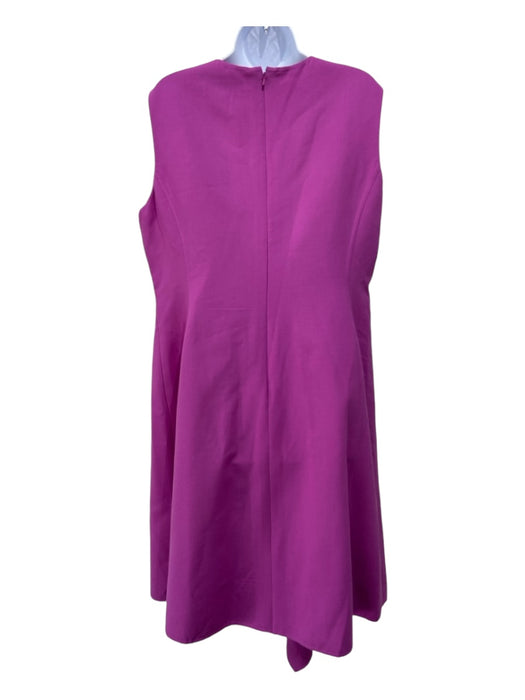 Oscar De La Renta Size 16 Fuschia Pink Wool Blend Sleeveless Princess Cut Dress Fuschia Pink / 16