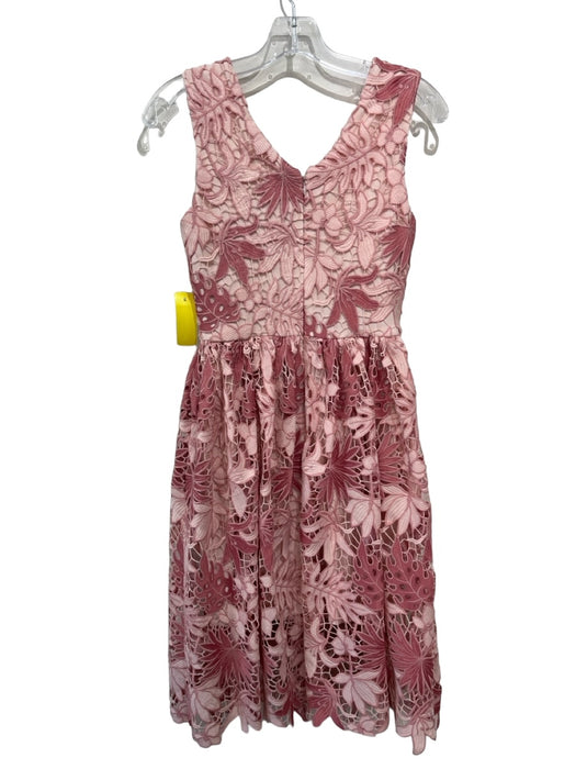 Dress the Population Size XS Pink Polyester Lace Overlay Sleeveless Leaves Dress Pink / XS