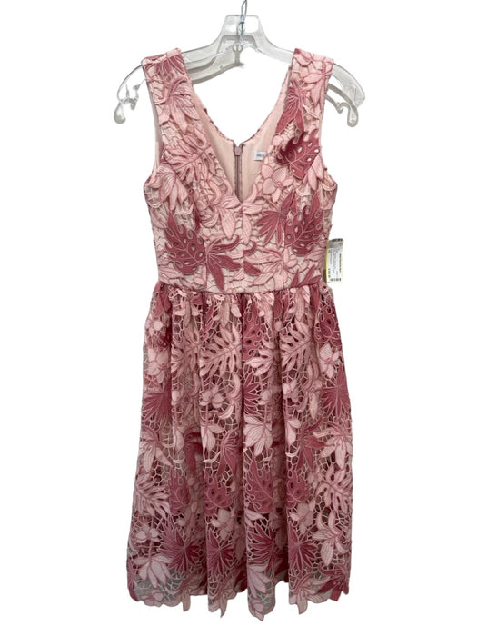 Dress the Population Size XS Pink Polyester Lace Overlay Sleeveless Leaves Dress Pink / XS