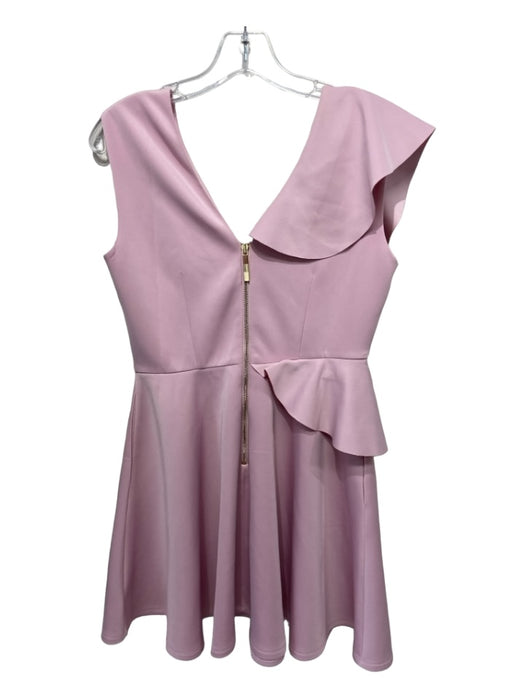 Ted Baker Size 2/M Pink Polyester Ruffle Detail Sleeveless Above Knee Dress Pink / 2/M