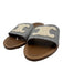 Celine Shoe Size 42 Blue & White Canvas Logo Stripe Mule Slides Sandals Blue & White / 42