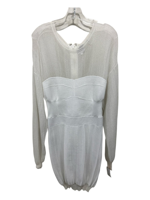 Herve Leger Size L White Polyamide & Viscose Blend Long Sleeve Shimmer Dress White / L