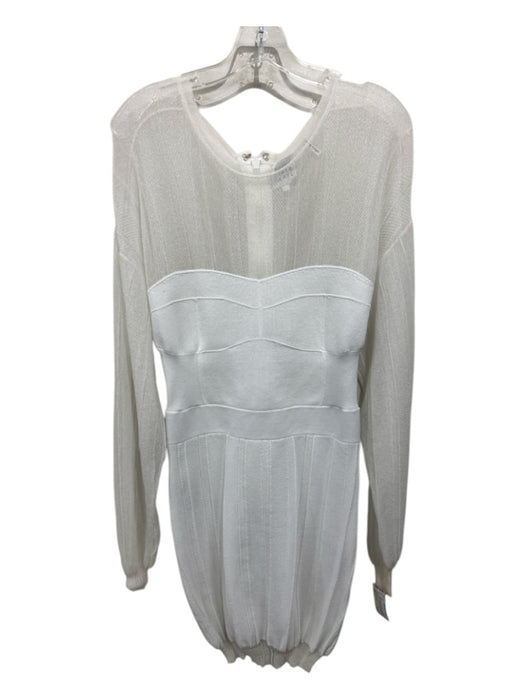 Herve Leger Size L White Polyamide & Viscose Blend Long Sleeve Shimmer Dress White / L