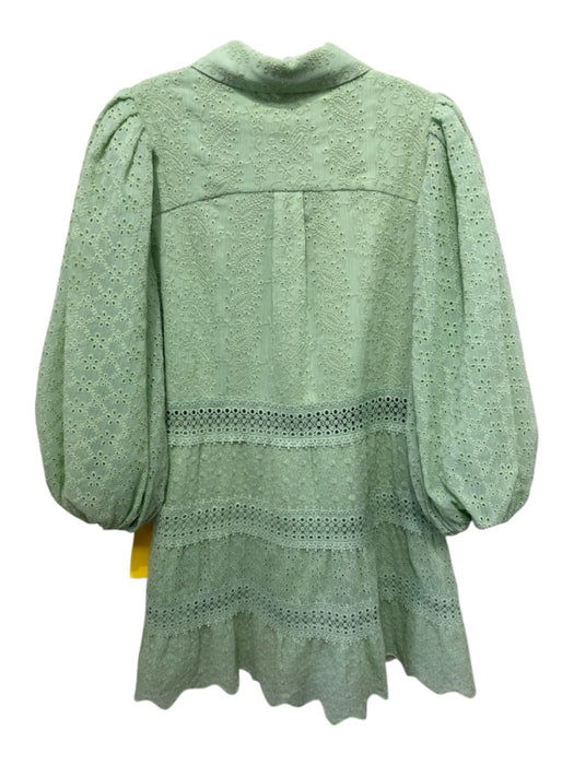Alice + Olivia Size 6 Sage green Polyester 1/2 Balloon Sleeve Eyelet Dress Sage green / 6