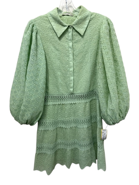 Alice + Olivia Size 6 Sage green Polyester 1/2 Balloon Sleeve Eyelet Dress Sage green / 6