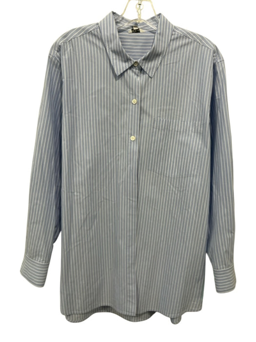 Rails Size L Blue & White Cotton Striped Long Sleeve Button Up Shirt Top Blue & White / L