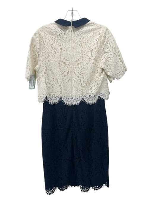 Phase Eight Size 38 Cream & Navy Cotton Blend Lace Overlay Floral Collared Dress Cream & Navy / 38