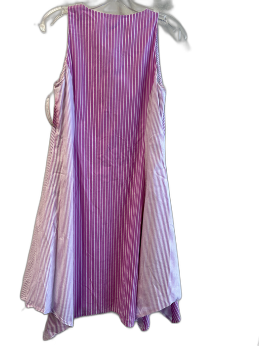 Abbey Glass Size XS Purple Cotton Blend V Neck Sleeveless Striped Dress Purple / XS