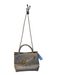 No Brand Putty goldtone hardware Weaved Shoulder Strap Magnetic Clasp Bag Putty / Small
