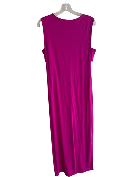 BR Size 6 Fushcia Rayon Blend Side Slit Sleeveless Back Zip Side Tabs Dress Fushcia / 6