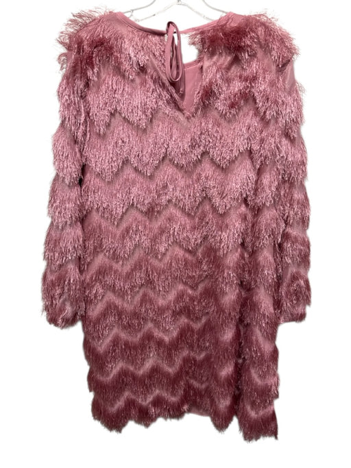 Hutch Size 1X Pink Polyester Chevron Fringe 3/4 Sleeve Keyhole Back Dress Pink / 1X