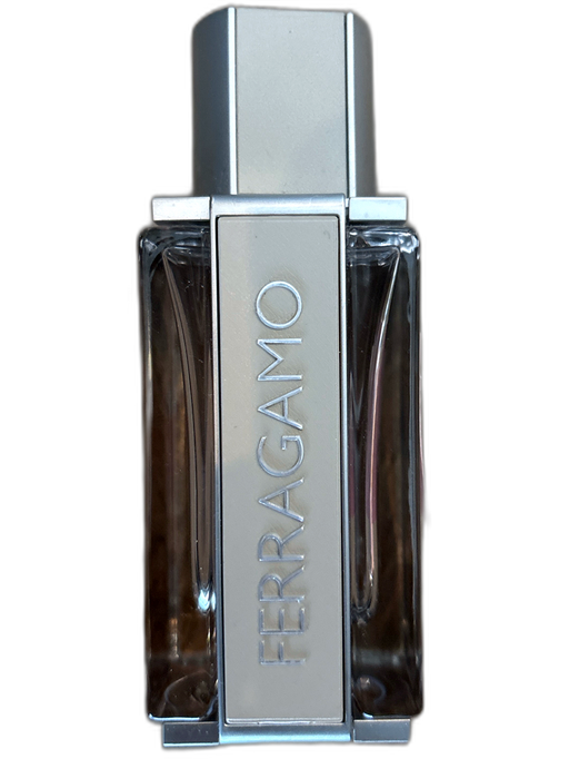 Ferragamo Silver Men's Cologne Silver