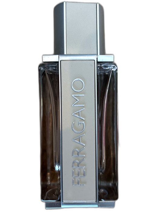 Ferragamo Silver Men's Cologne Silver