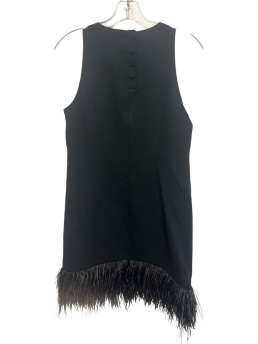 J. Crew Size XS Black Sleeveless darted Back Button Feather Hem Below knee Dress Black / XS
