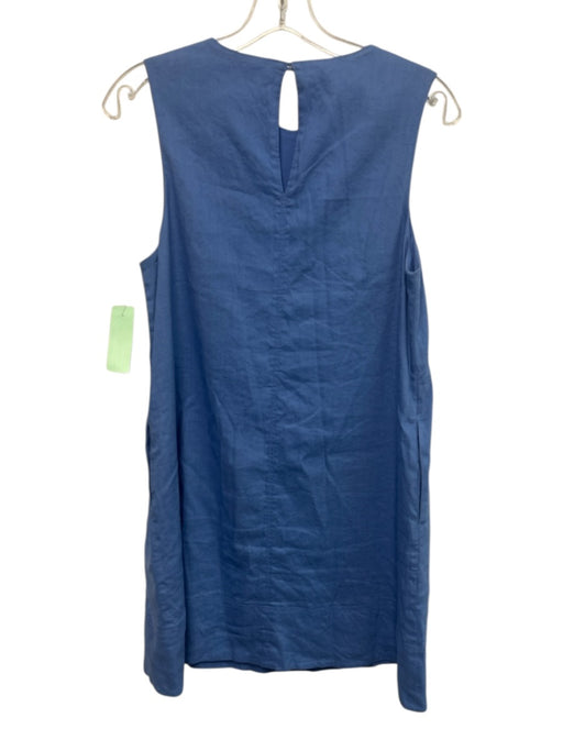 Everlane Size 0 Baby Blue Linen Blend Sleeveless Darted Shift Knee length Dress Baby Blue / 0