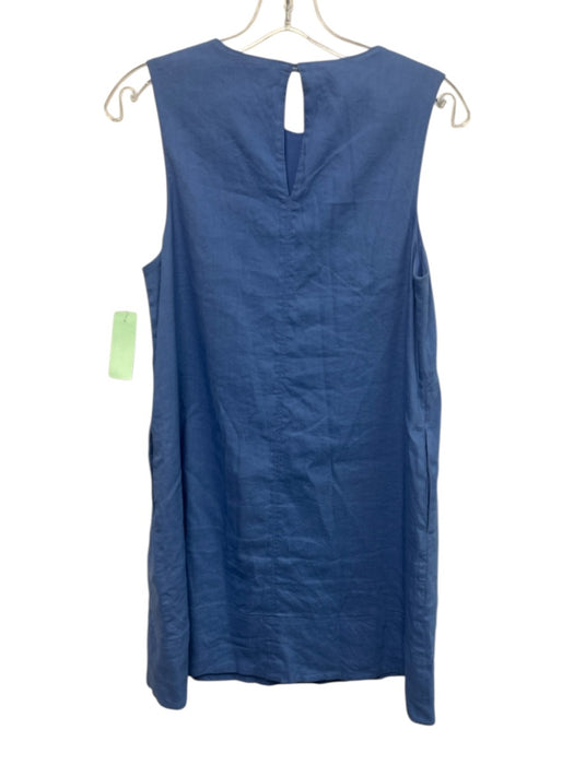 Everlane Size 0 Baby Blue Linen Blend Sleeveless Darted Shift Knee length Dress Baby Blue / 0