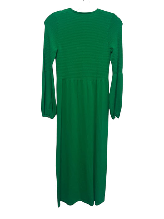 Pomander Place Size XXS Green Rayon Blend Long Sleeve Textured Maxi Dress Green / XXS