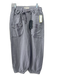 Current/Elliot Size 27 Gray Lyocell blend Drawstring Waist Utility Pocket Pants Gray / 27