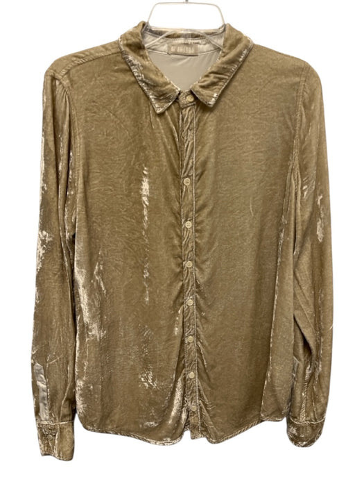 CP Shades Beige Gold Viscose Blend Long Sleeve Velvet Button Front Top Beige Gold