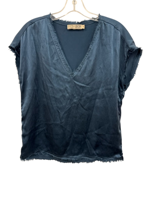 Go > Go Silk Size XS Blue Silk V Neck Sleeveless Satin Top Blue / XS