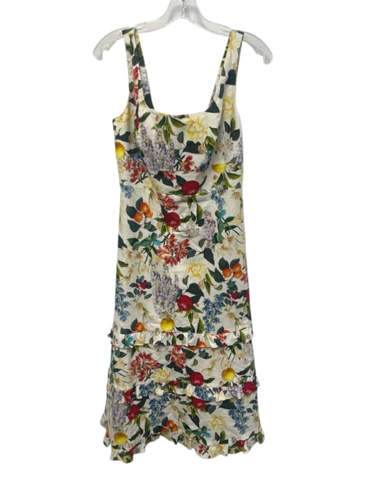 Sachin & Babi Size 4 White & Multi Linen Blend Sleeveless Floral Print Dress White & Multi / 4