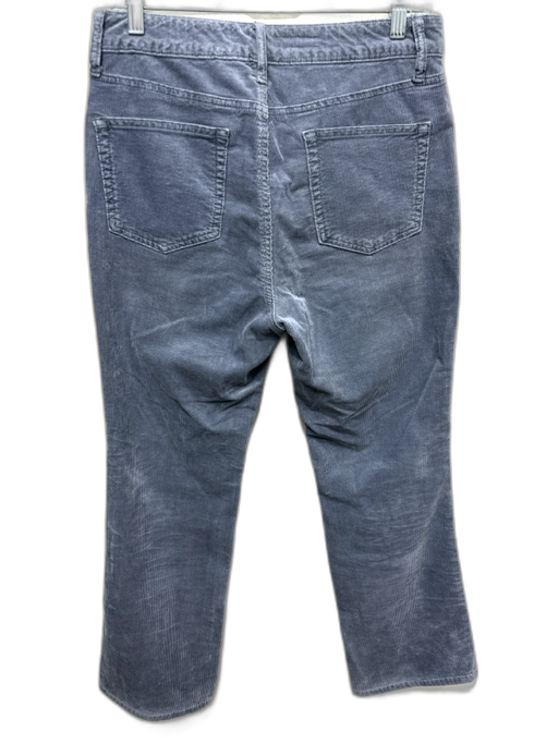 Pilcro Size 29 Tall Slate Blue Cotton & Modal Corduroy Zip Fly Pants Slate Blue / 29 Tall