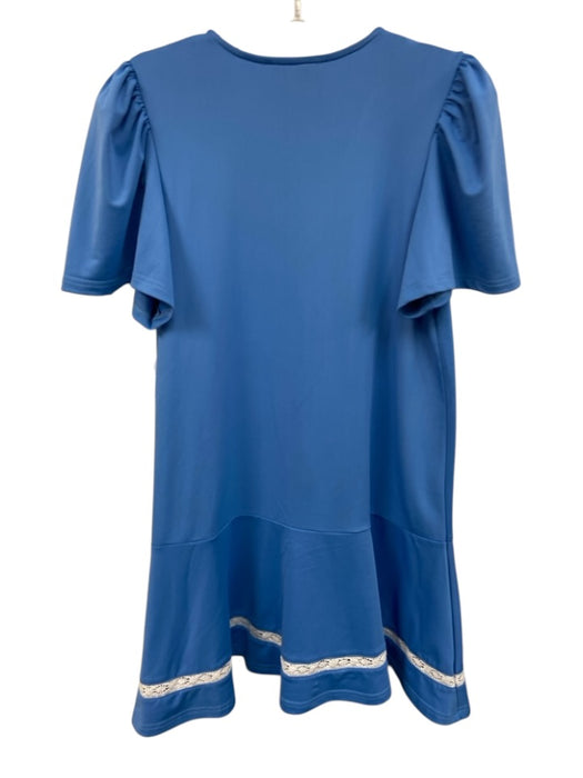 Smith & Quinn Size Small Blue & White Polyester Blend Short Puff Sleeve Dress Blue & White / Small