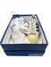 Adidas Shoe Size 12 Made in Italy White & Beige Leather Solid Sneaker Shoes White & Beige / 12