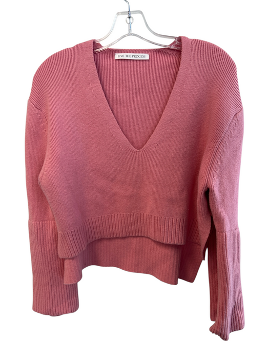 Live the Process Size Est Small Salmon No Fabric Tag Ribbed V Neck Sweater Salmon / Est Small