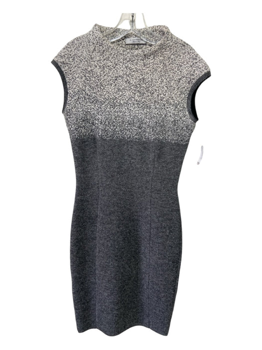 D. Exterior Size XS Gray Wool Blend Sleeveless Knit Ombre Dress Gray / XS